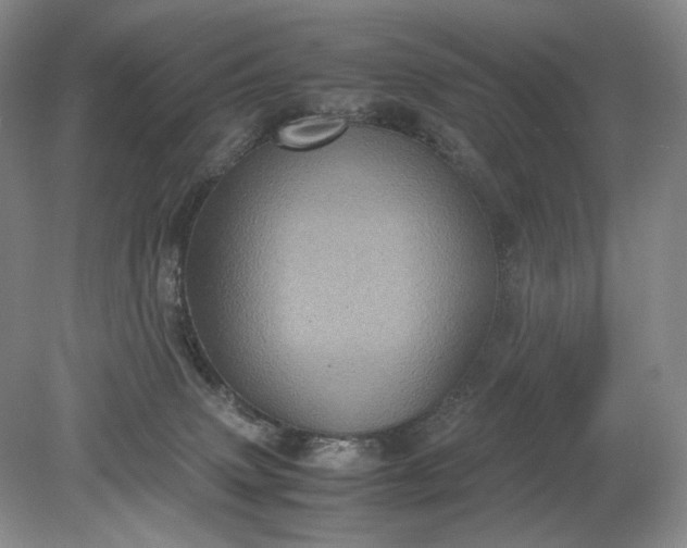 X0000079280083200612011709