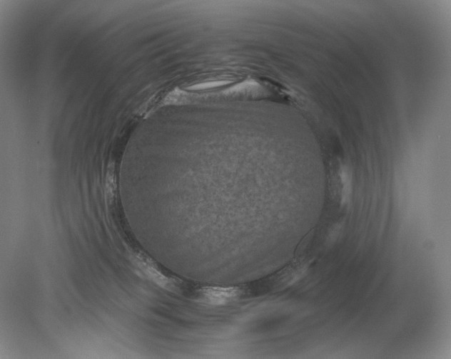 X0000079280085200612011709