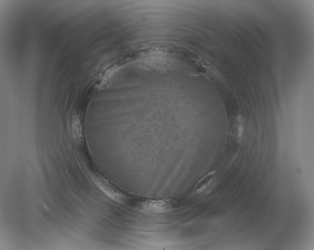 X0000079280086200612011709