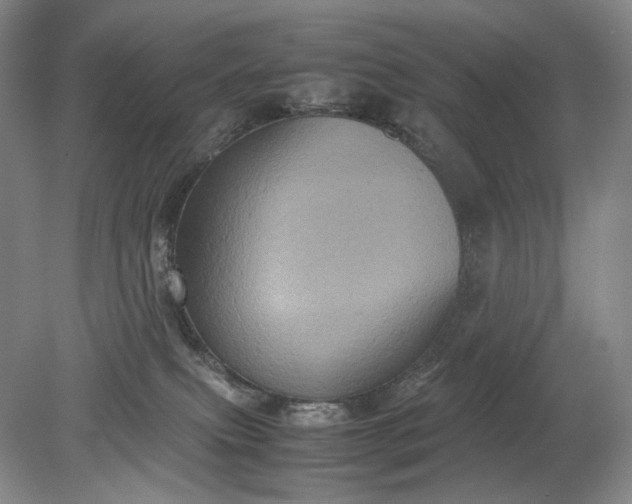 X0000079280087200612011709