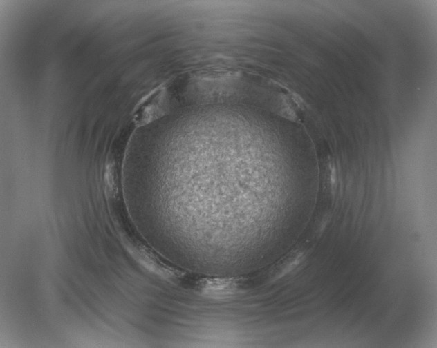 X0000079280088200612011709