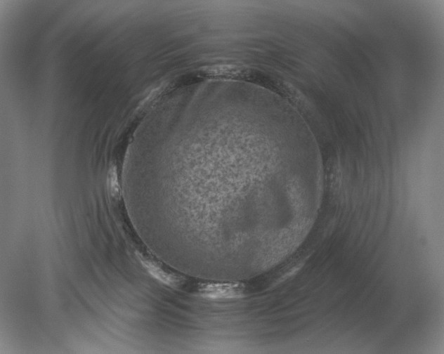 X0000079280089200612011709