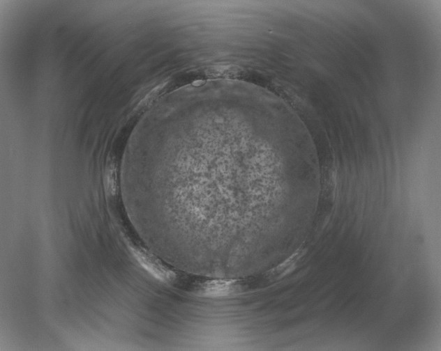 X0000079280090200612011709