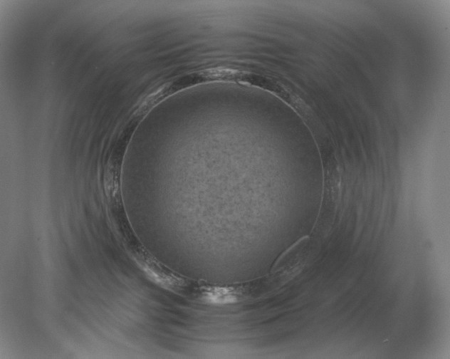 X0000079280091200612011709