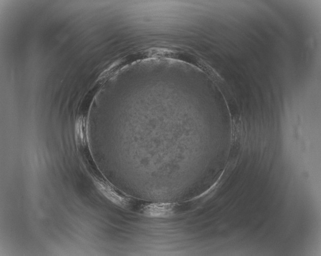 X0000079280094200612011709