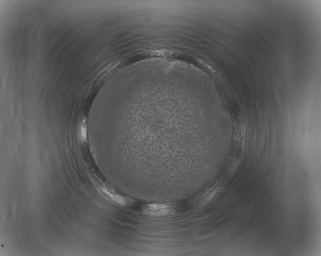 X0000079280095200612011709