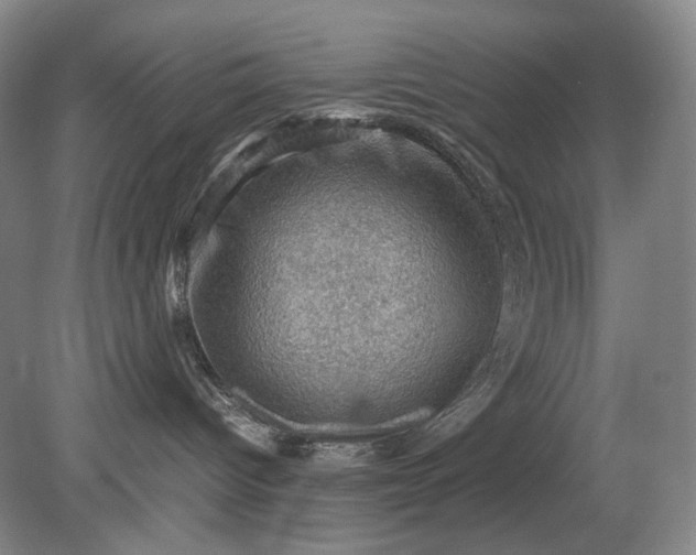 X0000079280096200612011709