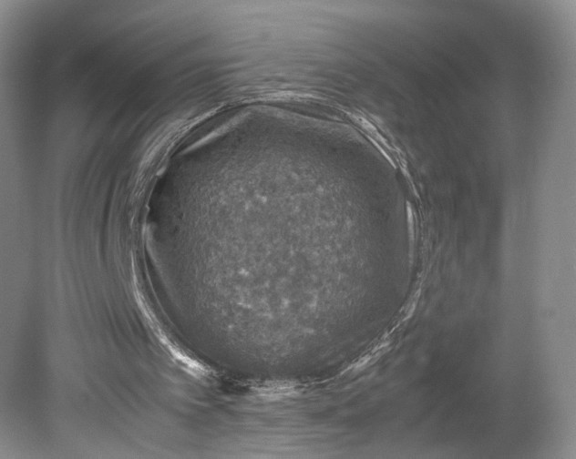 X0000079280097200612011708