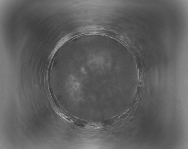 X0000079280099200612011708