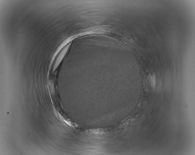 X0000079280100200612011708