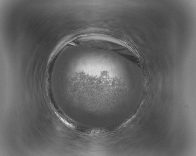 X0000079280101200612011708