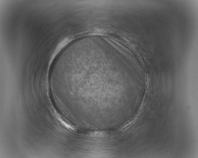 X0000079280102200612011708