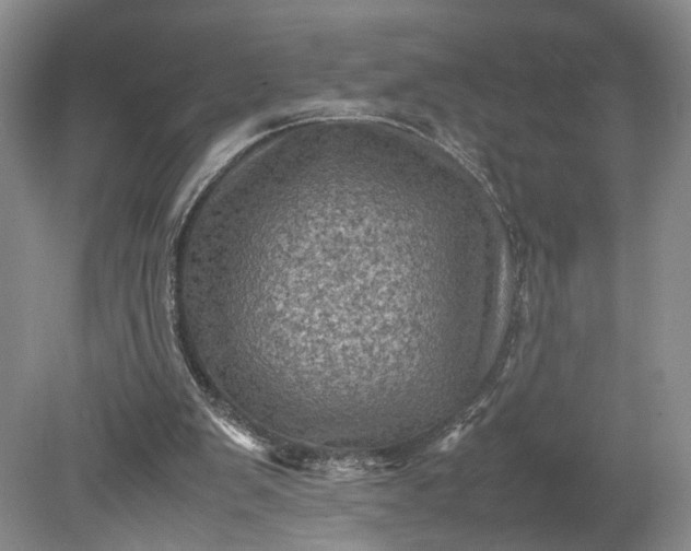 X0000079280103200612011708