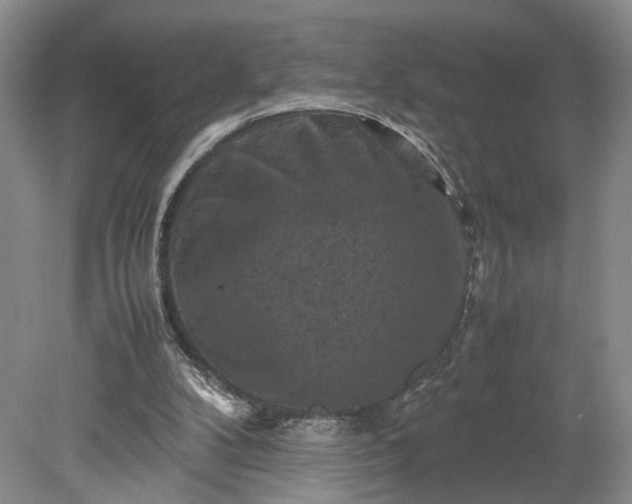 X0000079280104200612011708