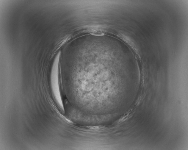 X0000079280105200612011708