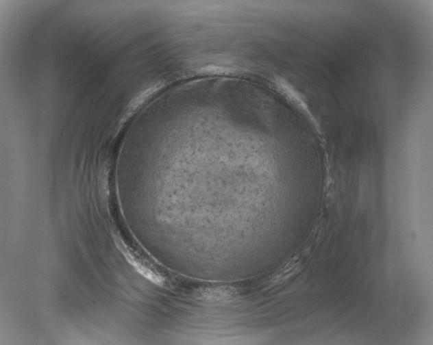 X0000079280106200612011708