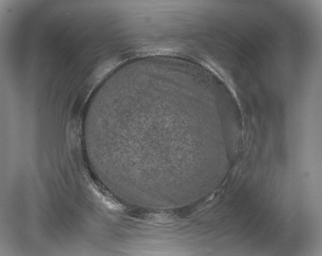 X0000079280107200612011708