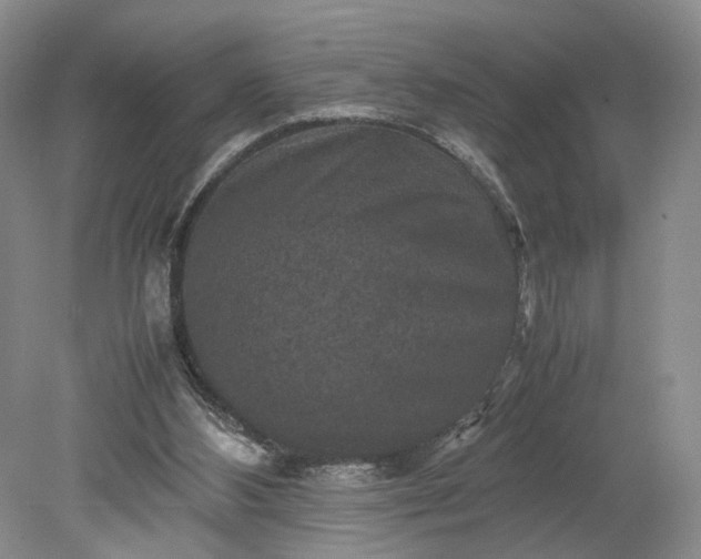 X0000079280108200612011708