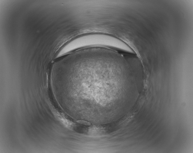 X0000079280109200612011708