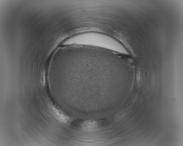 X0000079280110200612011708