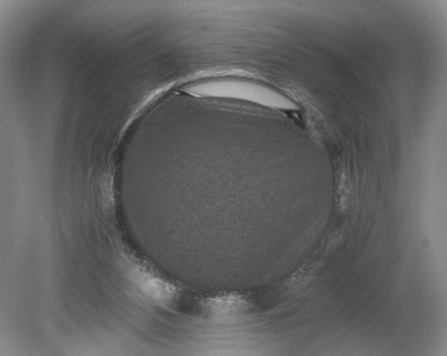 X0000079280112200612011708