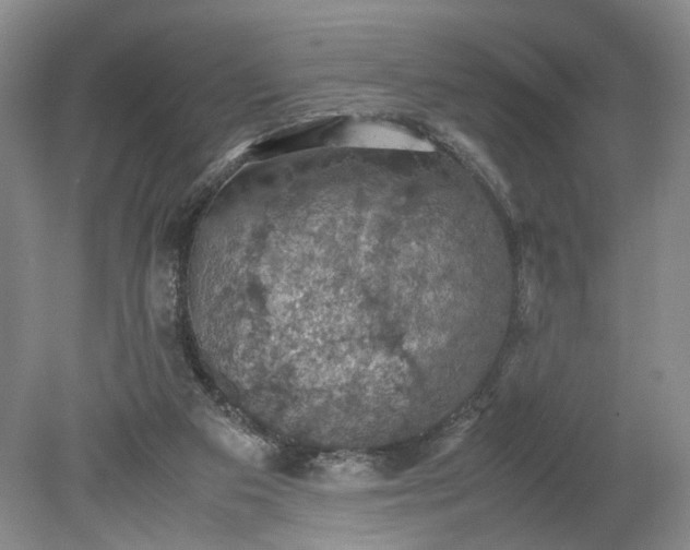 X0000079280113200612011708