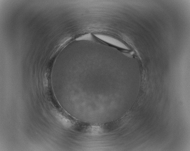 X0000079280114200612011708