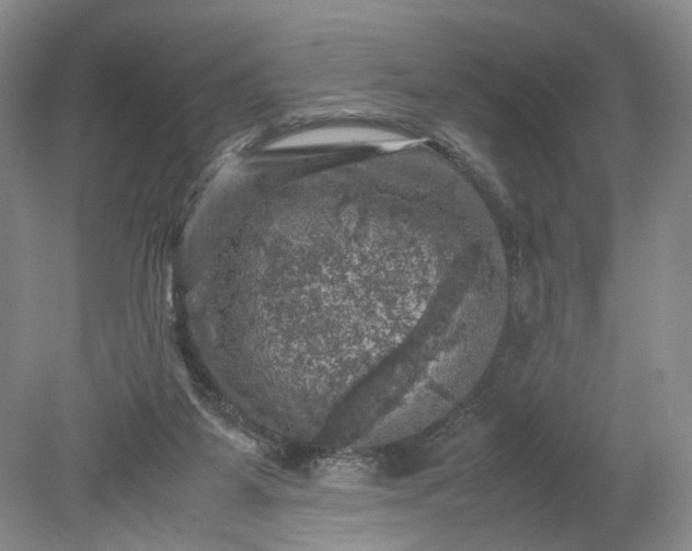 X0000079280115200612011708