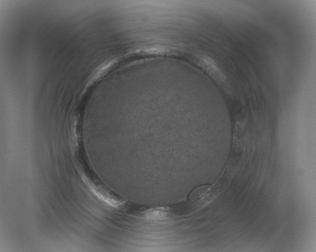 X0000079280116200612011708