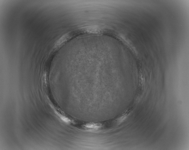 X0000079280117200612011708