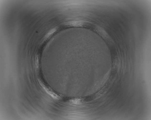 X0000079280120200612011708