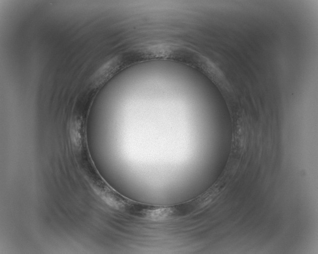 X0000079280122200612011708