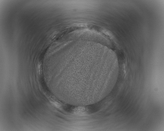 X0000079280123200612011708