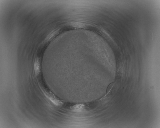 X0000079280124200612011708