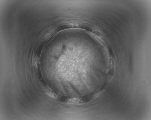 X0000079280125200612011708