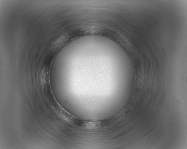 X0000079280126200612011708