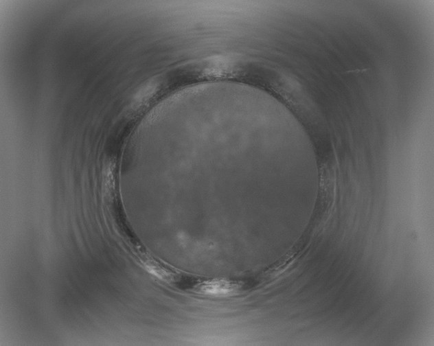 X0000079280127200612011708