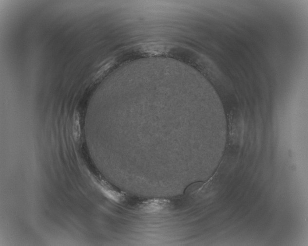 X0000079280128200612011708