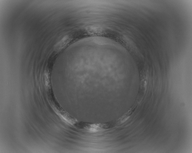 X0000079280130200612011708