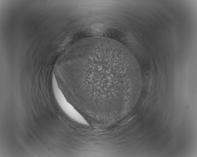 X0000079280131200612011708