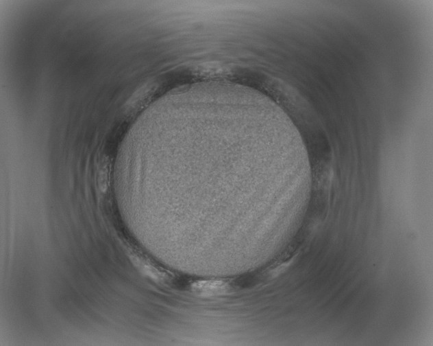 X0000079280133200612011708