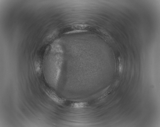 X0000079280134200612011708