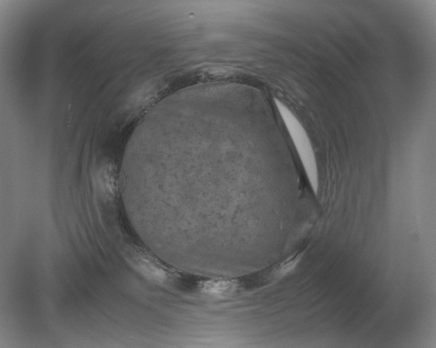 X0000079280135200612011708