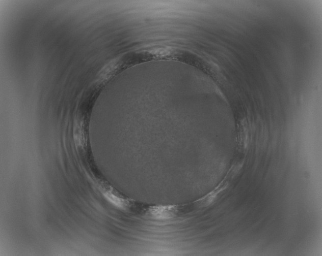 X0000079280136200612011708