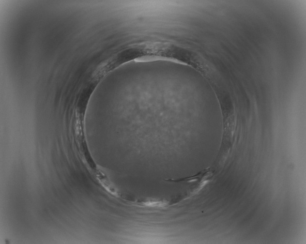 X0000079280137200612011708