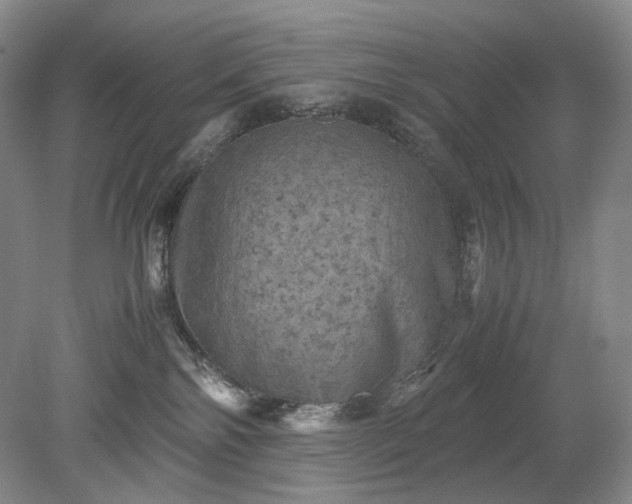 X0000079280138200612011708