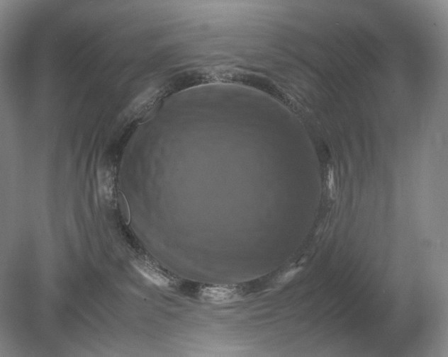 X0000079280139200612011708