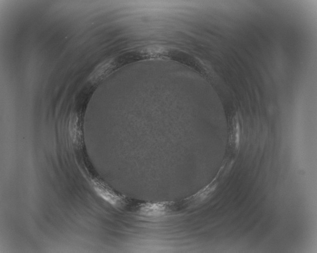 X0000079280140200612011708