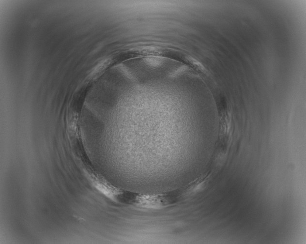 X0000079280141200612011708