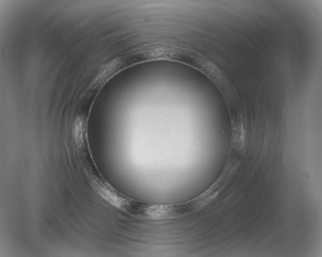 X0000079280142200612011708